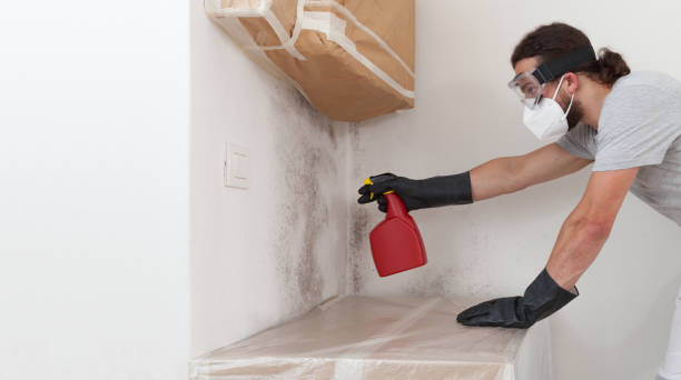 Professional Crawl Space Mold Remediation technician working in Auburndale, MA