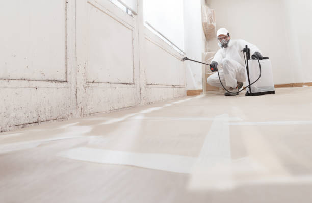 24/7 Emergency Crawl Space Mold Remediation experts in Auburndale, MA